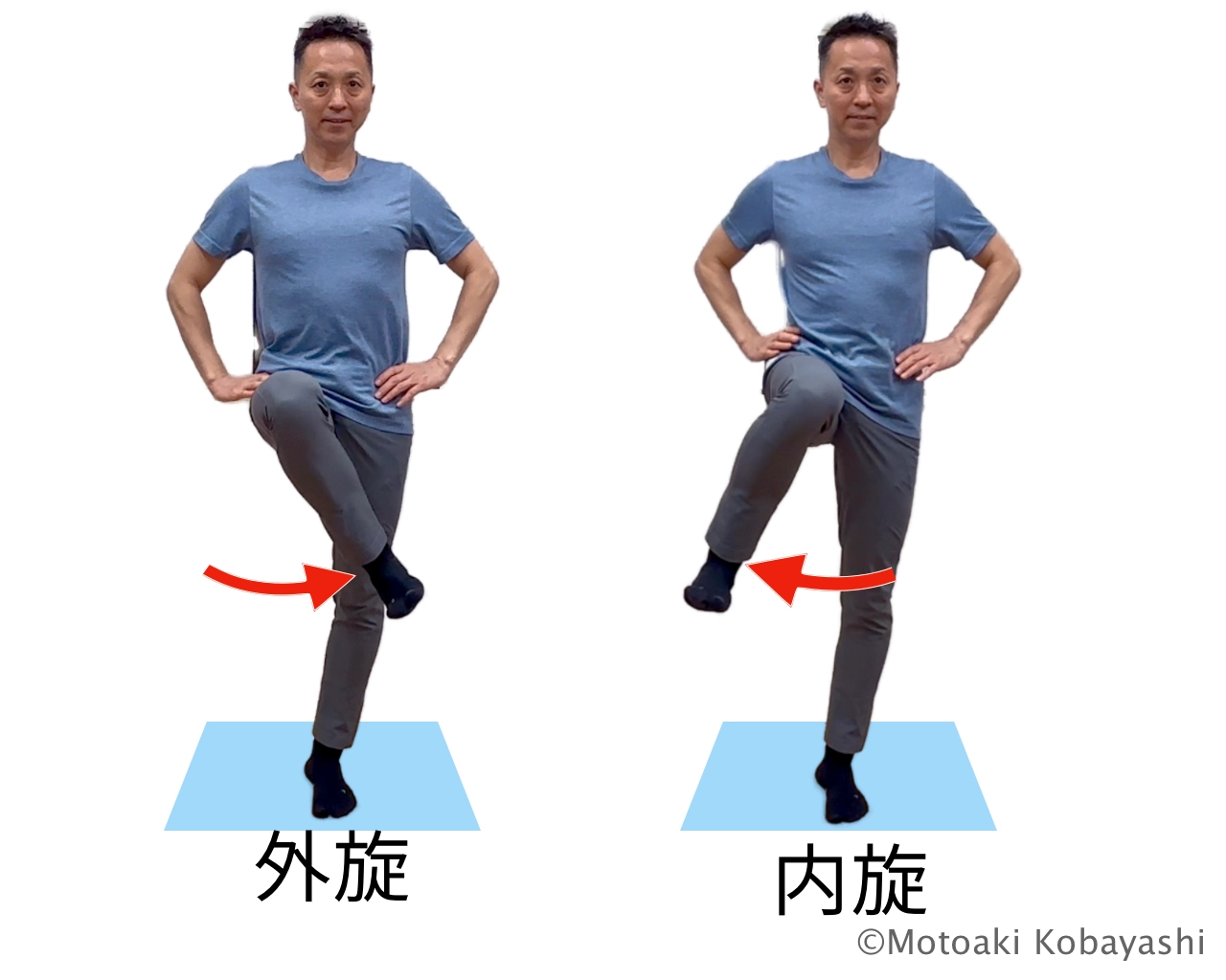 股関節可動域　内旋・外旋